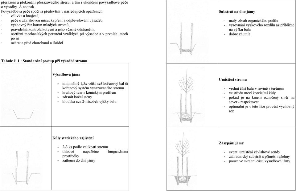 kotvení a jeho včasné odstranění, ošetření mechanických poranění vzniklých při výsadbě a v prvních letech po ní ochrana před chorobami a škůdci.
