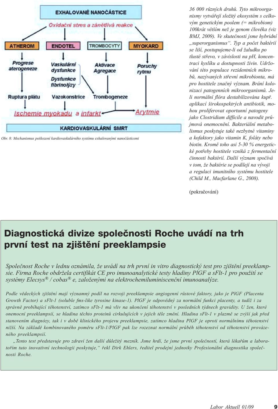 Typ a poèet baktérií se liší, postupujeme-li od žaludku po tlusté støevo, v závislosti na ph, koncentraci kyslíku a dostupnosti živin.