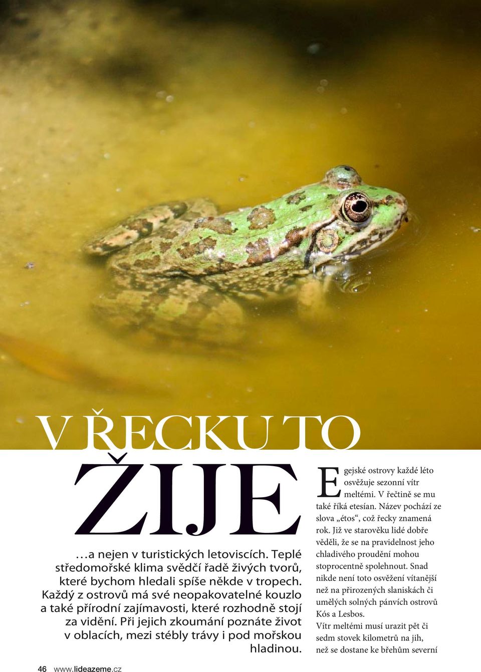 E gejské ostrovy každé léto osvěžuje sezonní vítr meltémi. V řečtině se mu také říká etesían. Název pochází ze slova étos, což řecky znamená rok.