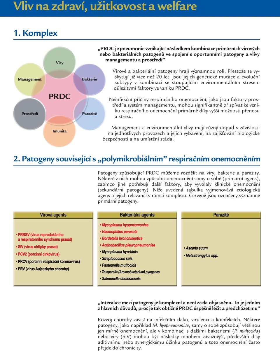 patogeny a vlivy managementu a prostředí Virové a bakteriální patogeny hrají významnou roli.