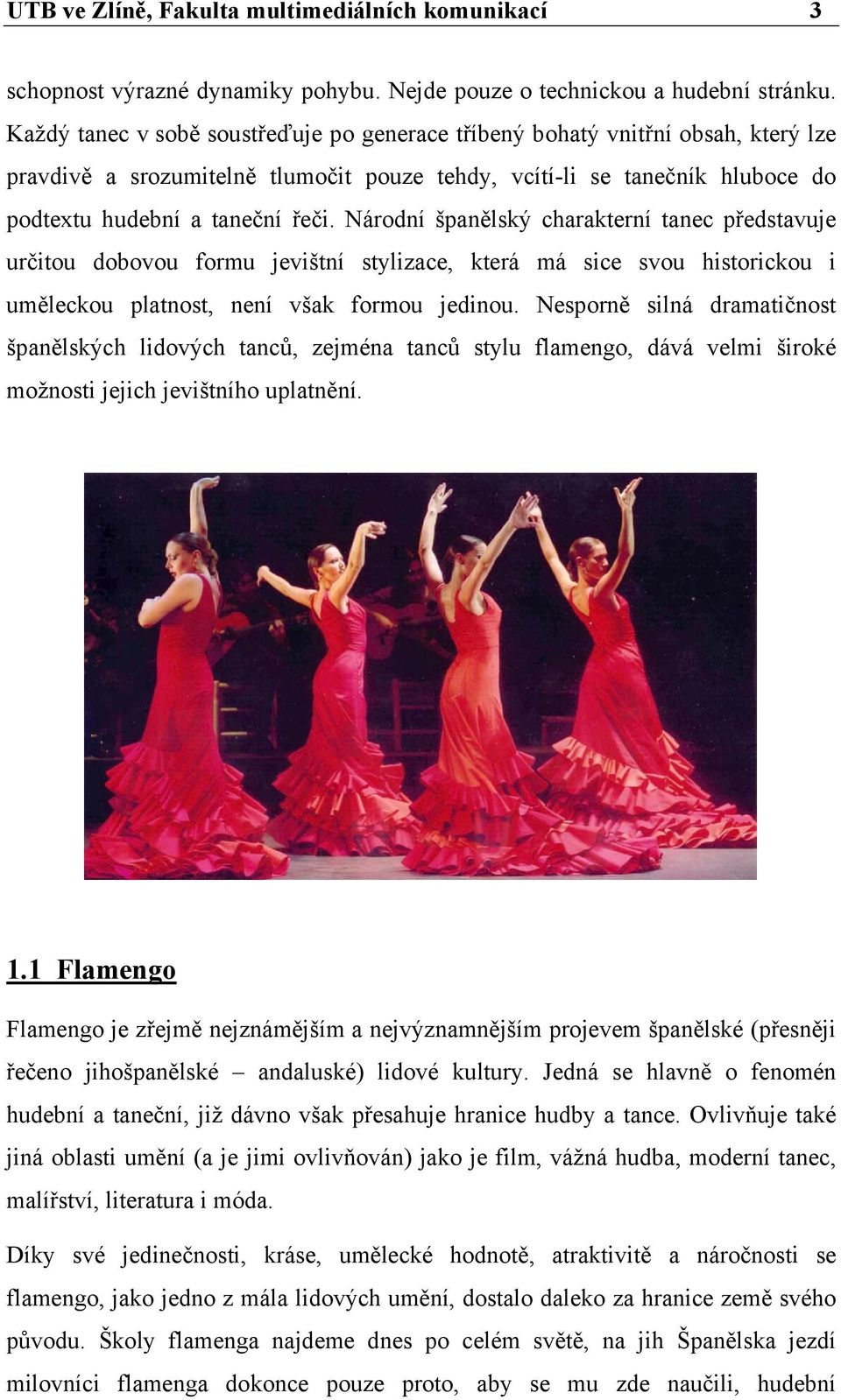 Národní španělský charakterní tanec představuje určitou dobovou formu jevištní stylizace, která má sice svou historickou i uměleckou platnost, není však formou jedinou.