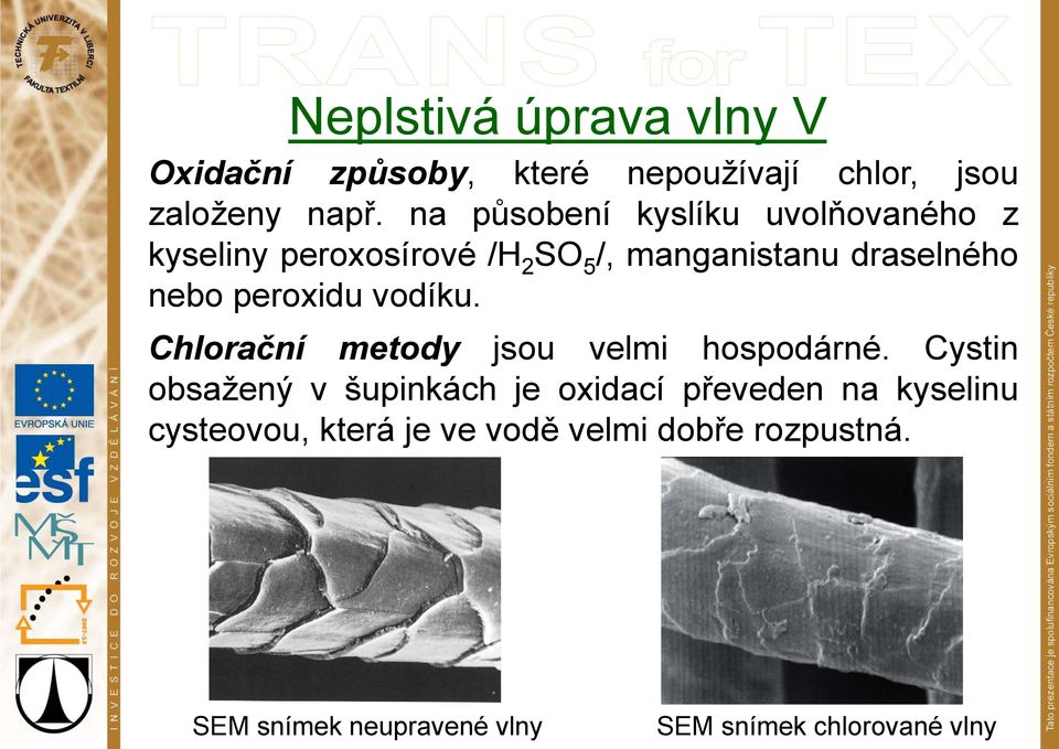 peroxidu vodíku. Chlorační metody jsou velmi hospodárné.