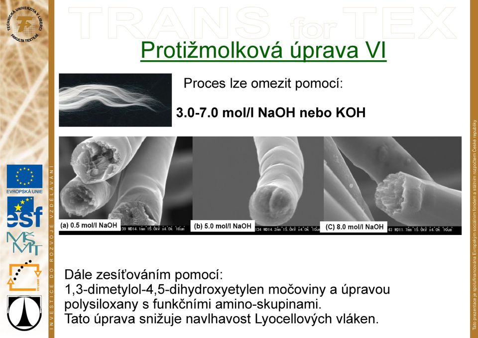 1,3-dimetylol-4,5-dihydroxyetylen močoviny a úpravou