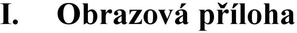 příloha