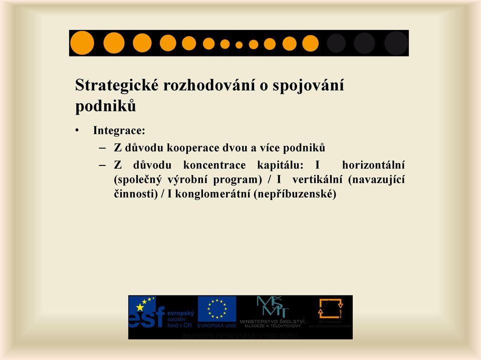 kapitálu: I horizontální (společný výrobní program) / I