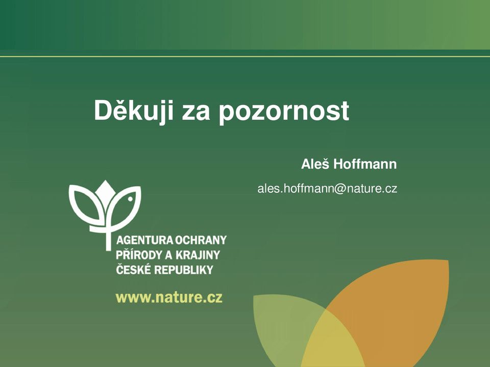 Hoffmann ales.