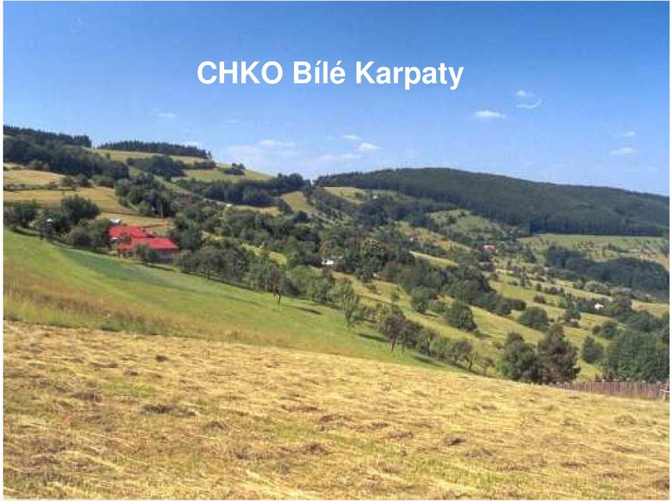 Karpaty