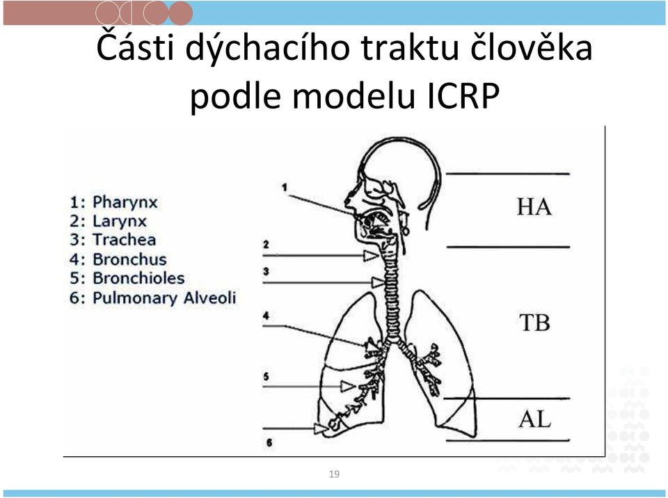 traktu