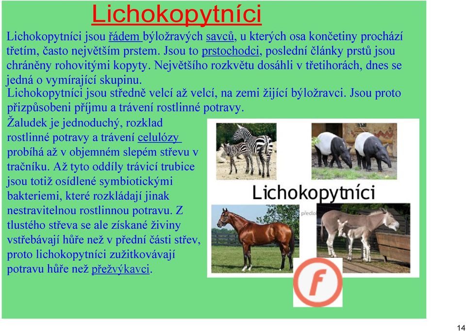 Jsou proto přizpůsobeni příjmu a trávení rostlinné potravy. Žaludek je jednoduchý, rozklad rostlinné potravy a trávení celulózy probíhá až v objemném slepém střevu v tračníku.