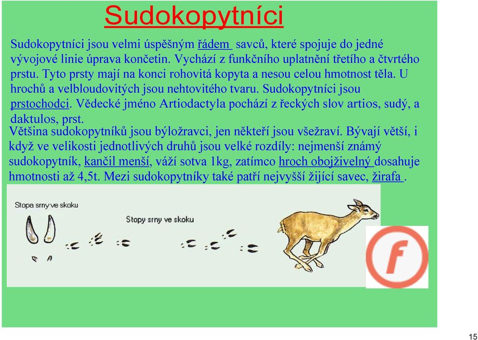 Vědecké jméno Artiodactyla pochází z řeckých slov artios, sudý, a daktulos, prst. Většina sudokopytníků jsou býložravci, jen někteří jsou všežraví.