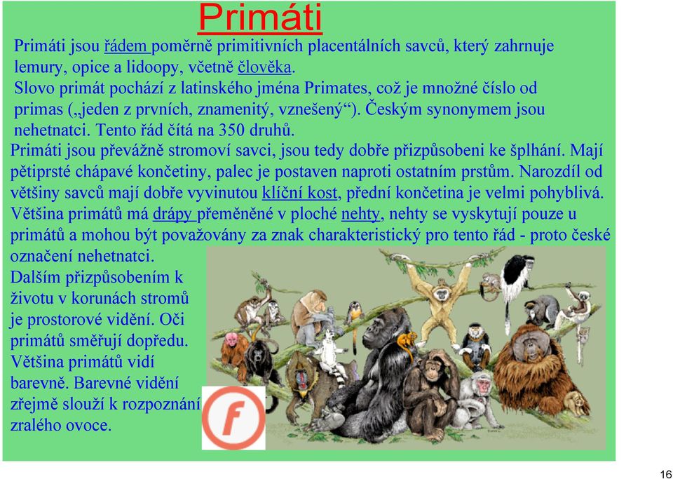 Primáti jsou převážně stromoví savci, jsou tedy dobře přizpůsobeni ke šplhání. Mají pětiprsté chápavé končetiny, palec je postaven naproti ostatním prstům.