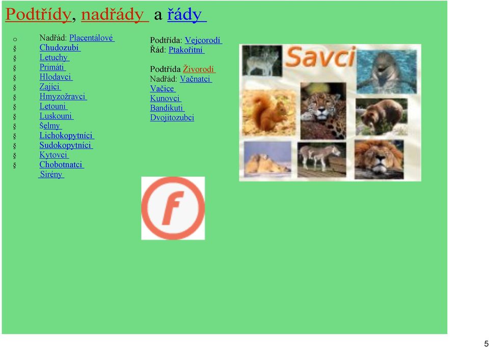 Lichokopytníci Sudokopytníci Kytovci Chobotnatci Sirény Podtřída: