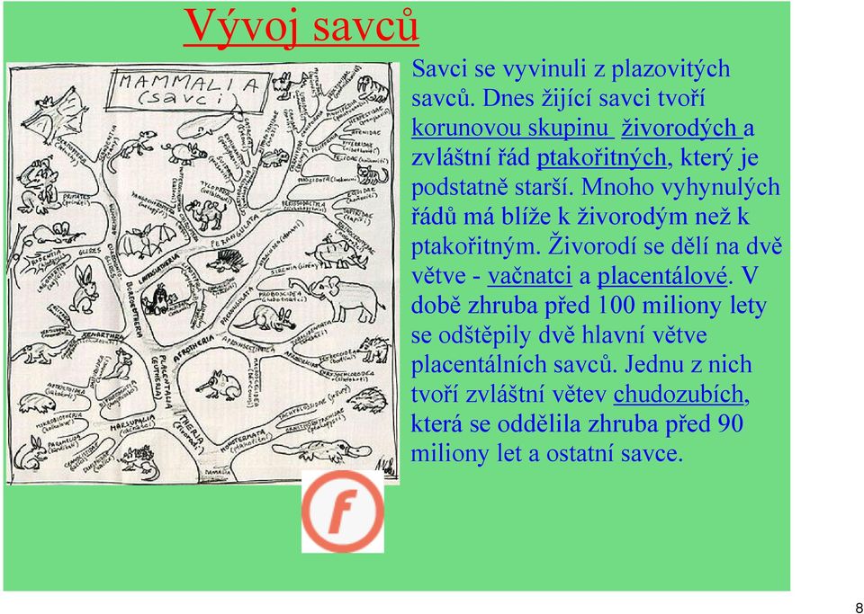 Mnoho vyhynulých řádů má blíže k živorodým než k ptakořitným. Živorodí se dělí na dvě větve vačnatci a placentálové.