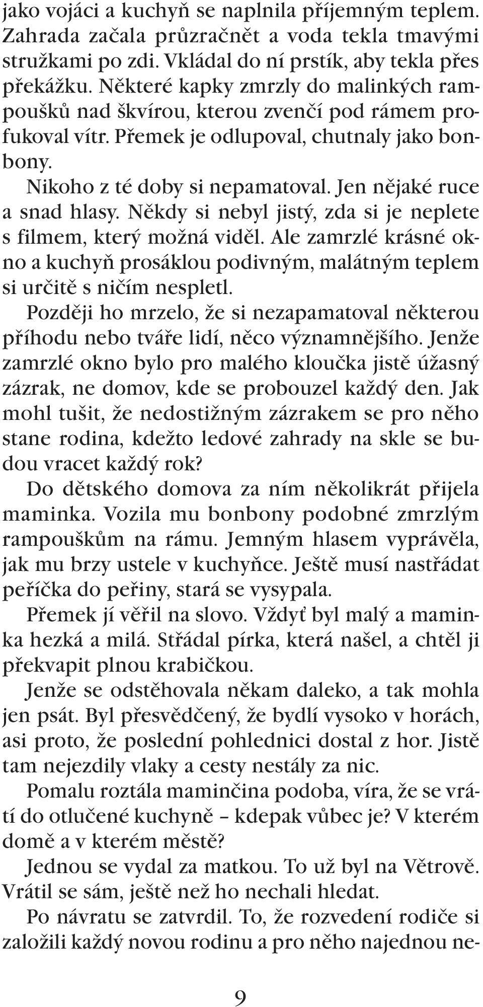 Jen nějaké ruce a snad hlasy. Někdy si nebyl jistý, zda si je neplete s filmem, který možná viděl. Ale zamrzlé krásné okno a kuchyň prosáklou podivným, malátným teplem si určitě s ničím nespletl.