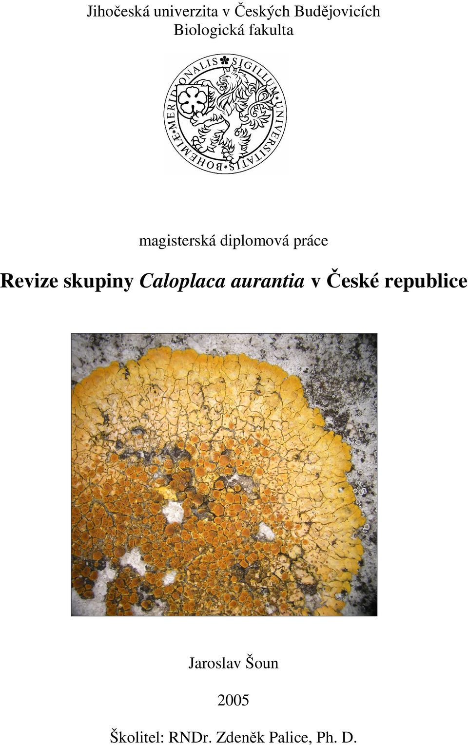 Revize skupiny Caloplaca aurantia v České