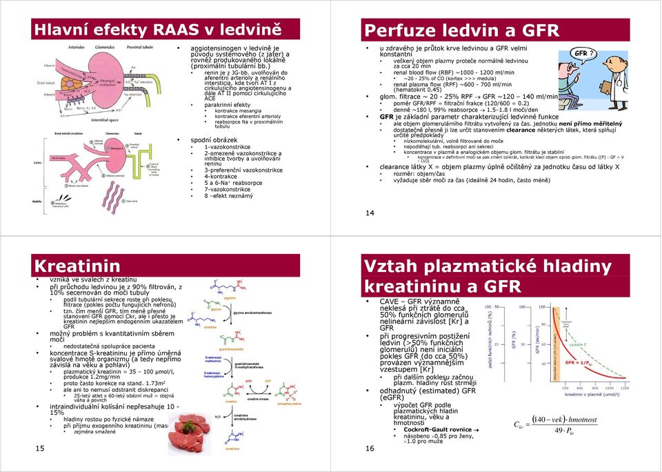 eferentní arterioly reabsorpce Na v proximálním tubulu spodní obrázek 1-vazokonstrikce 2-omezeně vazokonstrikce a inhibice tvorby a uvolňování reninu 3-preferenční vazokonstrikce 4-kontrakce 5 a 6-Na