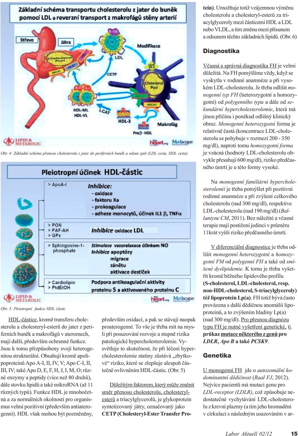 Na H pomýšlíme vždy, když se vyskytla v rodinné anamnéze a pøi vysokém LDL-cholesterolu.