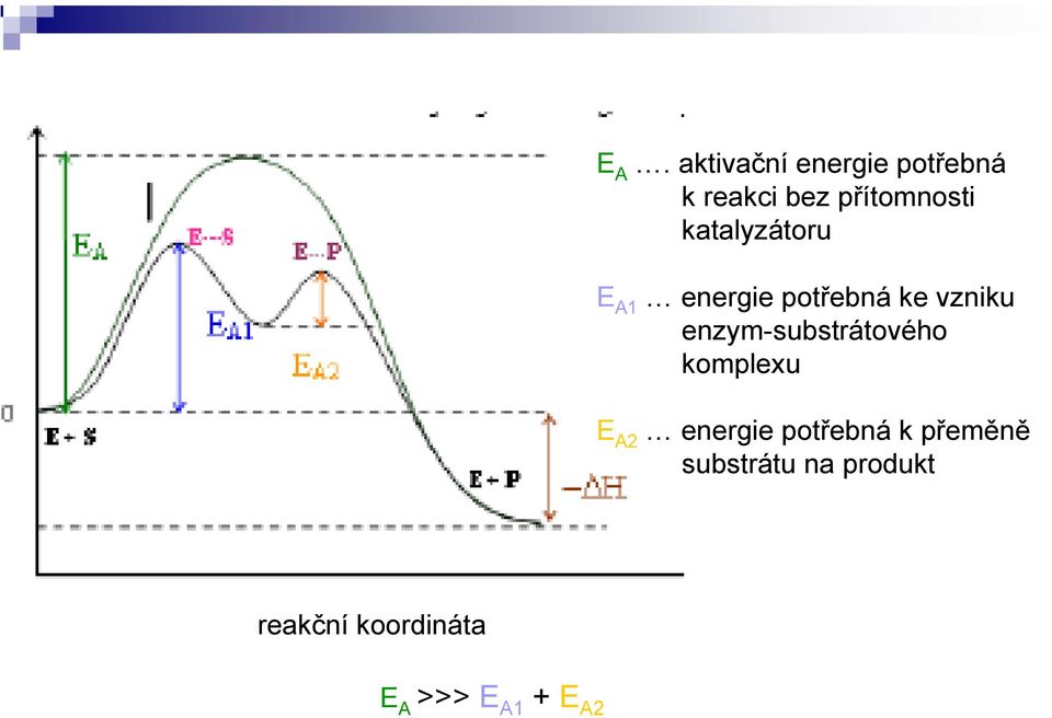 vzniku enzym-substrátového komplexu E A2 energie