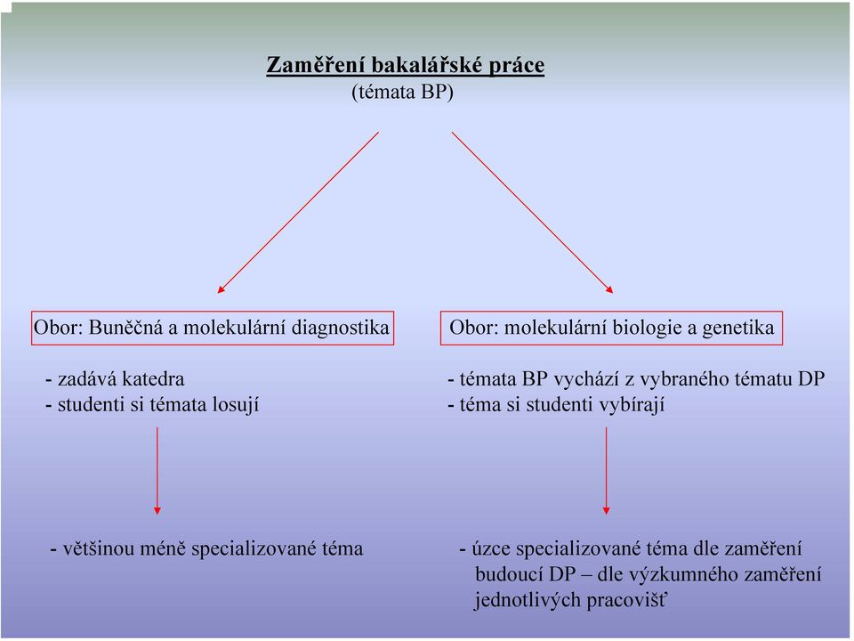 vychází z vybraného tématu DP - téma si studenti vybírají -většinou méně specializované