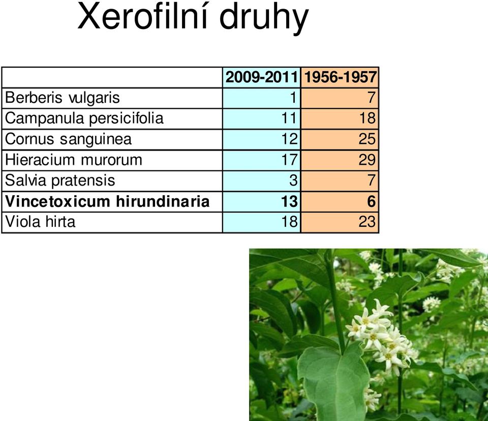 sanguinea 12 25 Hieracium murorum 17 29 Salvia