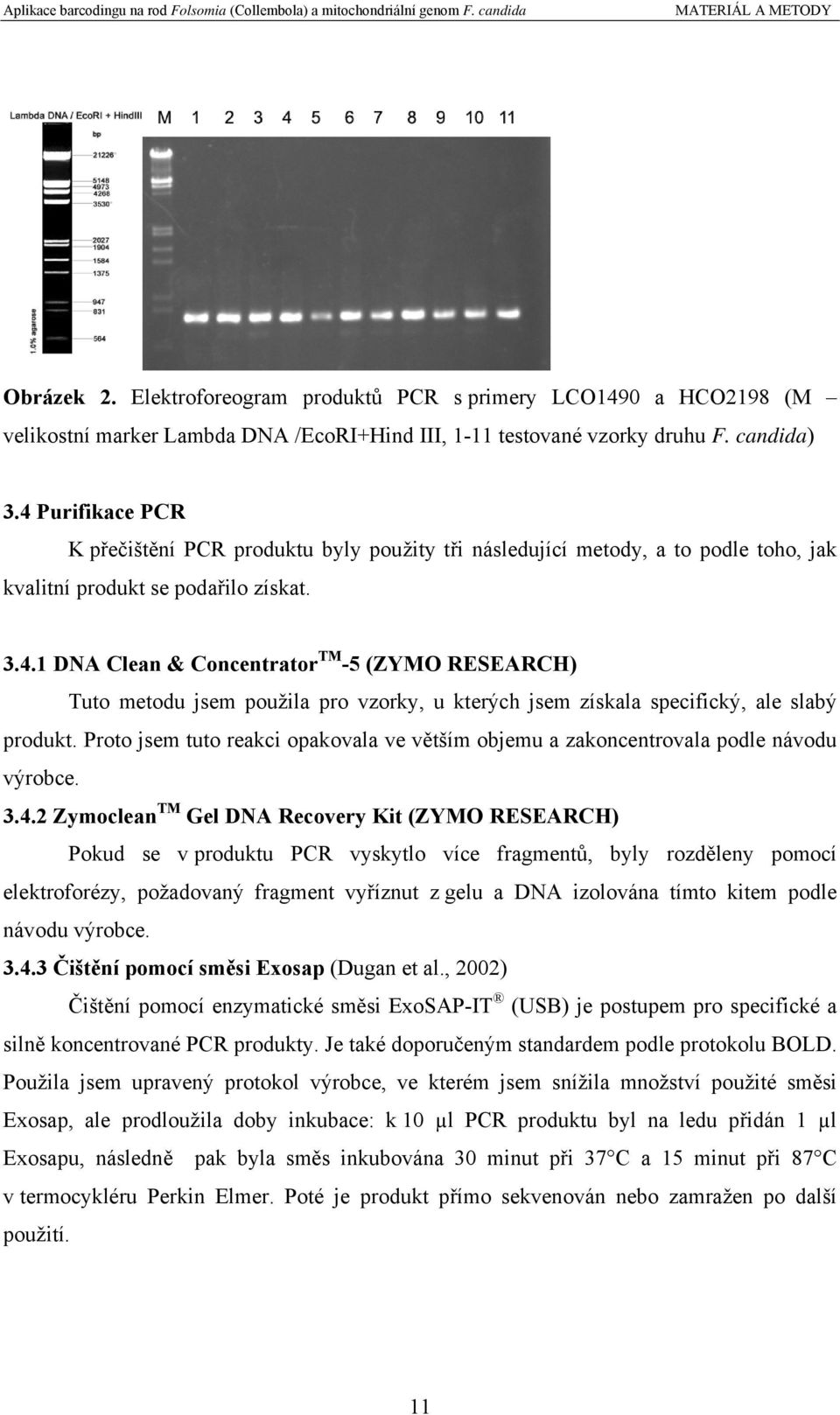 Proto jsem tuto reakci opakovala ve větším objemu a zakoncentrovala podle návodu výrobce. 3.4.