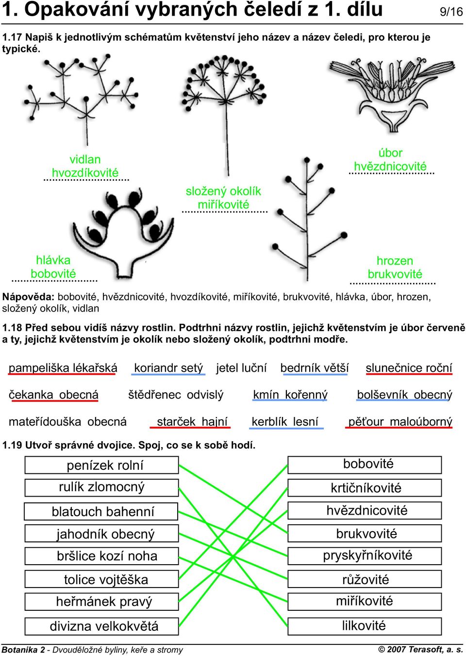 složený okolík, vidlan 1.18 Pøed sebou vidíš názvy rostlin. Podtrhni názvy rostlin, jejichž kvìtenstvím je úbor èervenì a ty, jejichž kvìtenstvím je okolík nebo složený okolík, podtrhni modøe.
