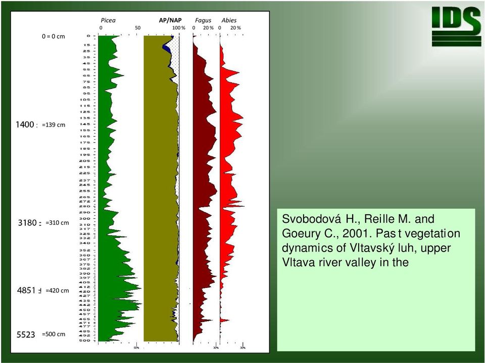 Tento fakt sv d í pro existenci p irozeného velkoplo ného rozpadu smrkových porost. =310 cm =420 cm =500 cm Svobodová H., Reille M. and Goeury C., 2001.