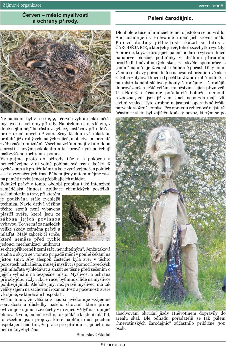 Srny kladou svá mláïata, probíhá již druhý vrh malých zajícù, u ptactva a pernaté zvìøe zaèalo hnízdìní.