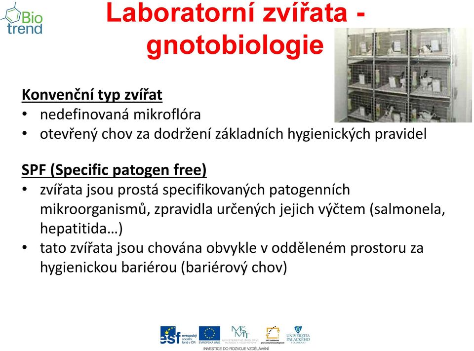 specifikovaných patogenních mikroorganismů, zpravidla určených jejich výčtem (salmonela,