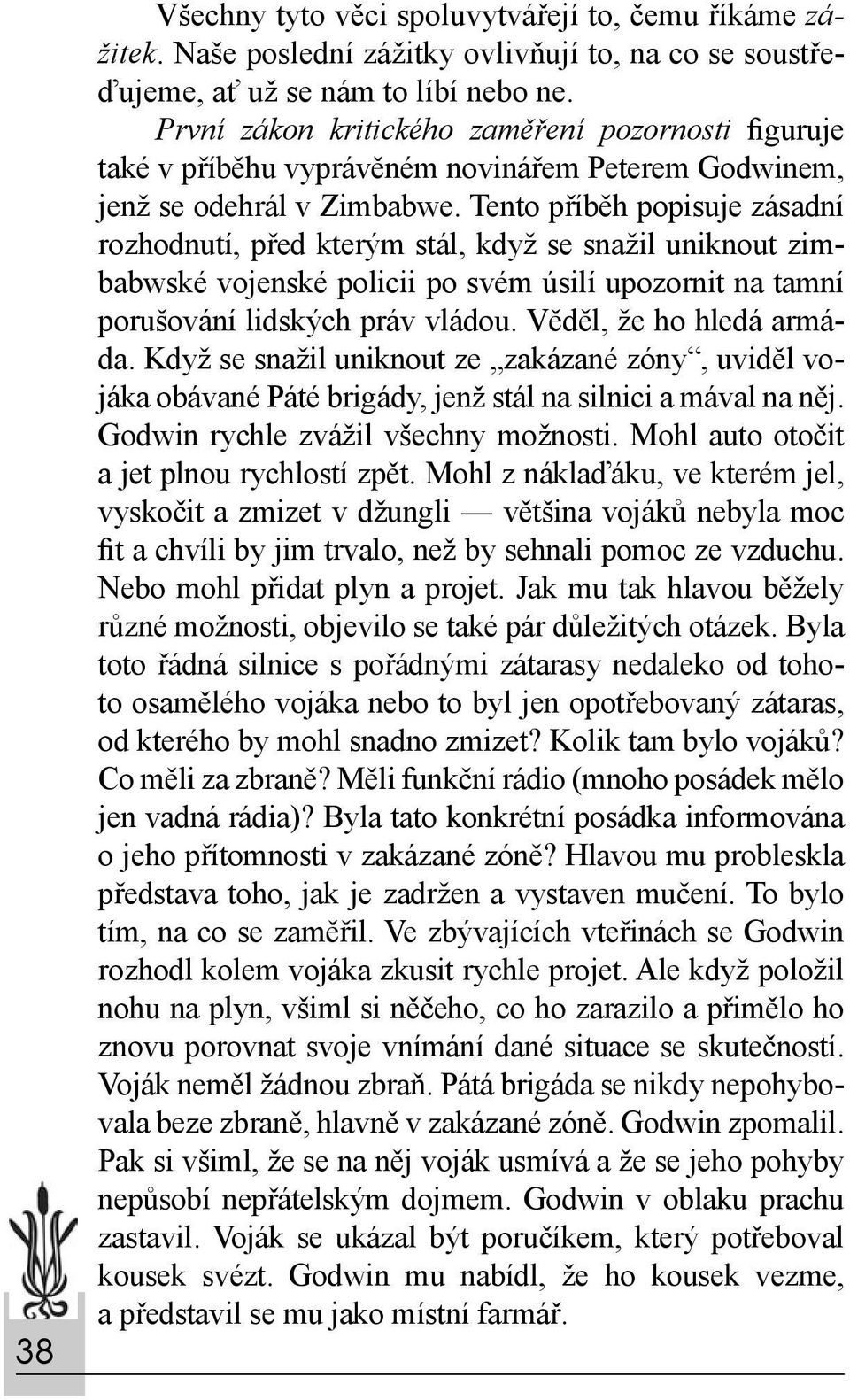 Tento příběh popisuje zásadní rozhodnutí, před kterým stál, když se snažil uniknout zimbabwské vojenské policii po svém úsilí upozornit na tamní porušování lidských práv vládou.