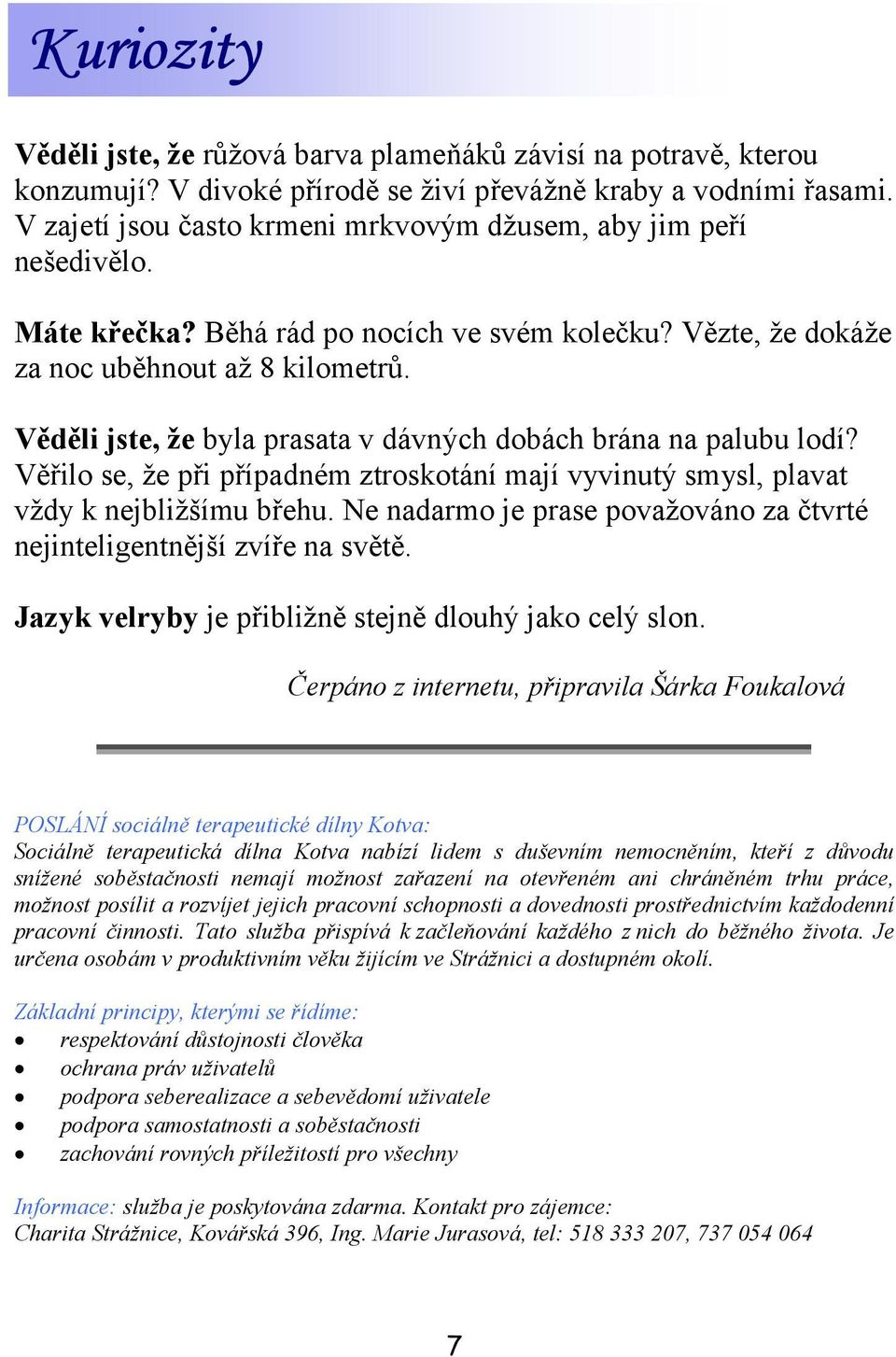 Věděli jste, že byla prasata v dávných dobách brána na palubu lodí? Věřilo se, že při případném ztroskotání mají vyvinutý smysl, plavat vždy k nejbližšímu břehu.