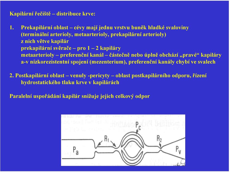 větve kapilár prekapilární svěrače pro 1 2 kapiláry metaarterioly preferenční kanál částečně nebo úplně obchází pravé kapiláry a-v