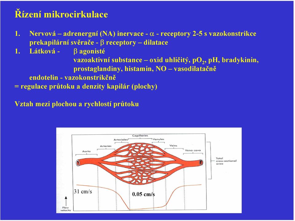 receptory dilatace 1.