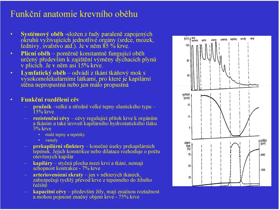 Lymfatický oběh odvádí z tkání tkáňový mok s vysokomolekulárními látkami, pro které je kapilární stěna nepropustná nebo jen málo propustná Funkční rozdělení cév pružník velké a středně velké tepny