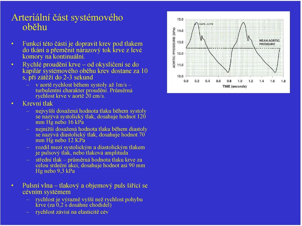 Průměrná rychlost krve v aortě 20 cm/s.