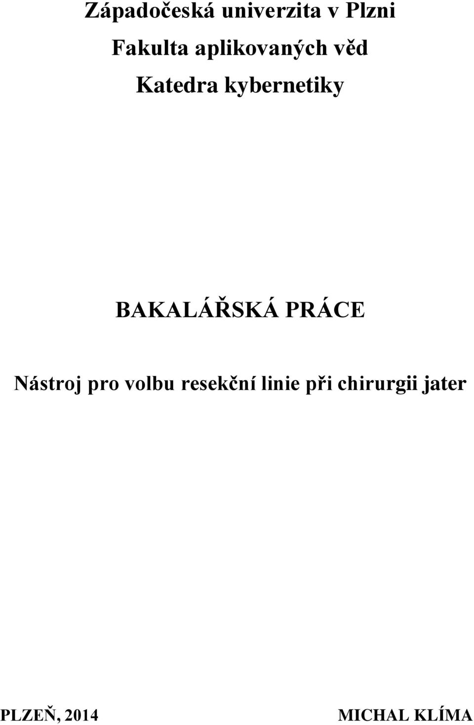 BAKALÁŘSKÁ PRÁCE Nástroj pro volbu