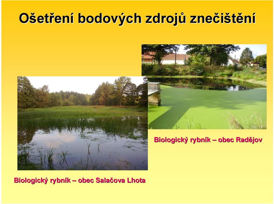 rybník obec Radějov
