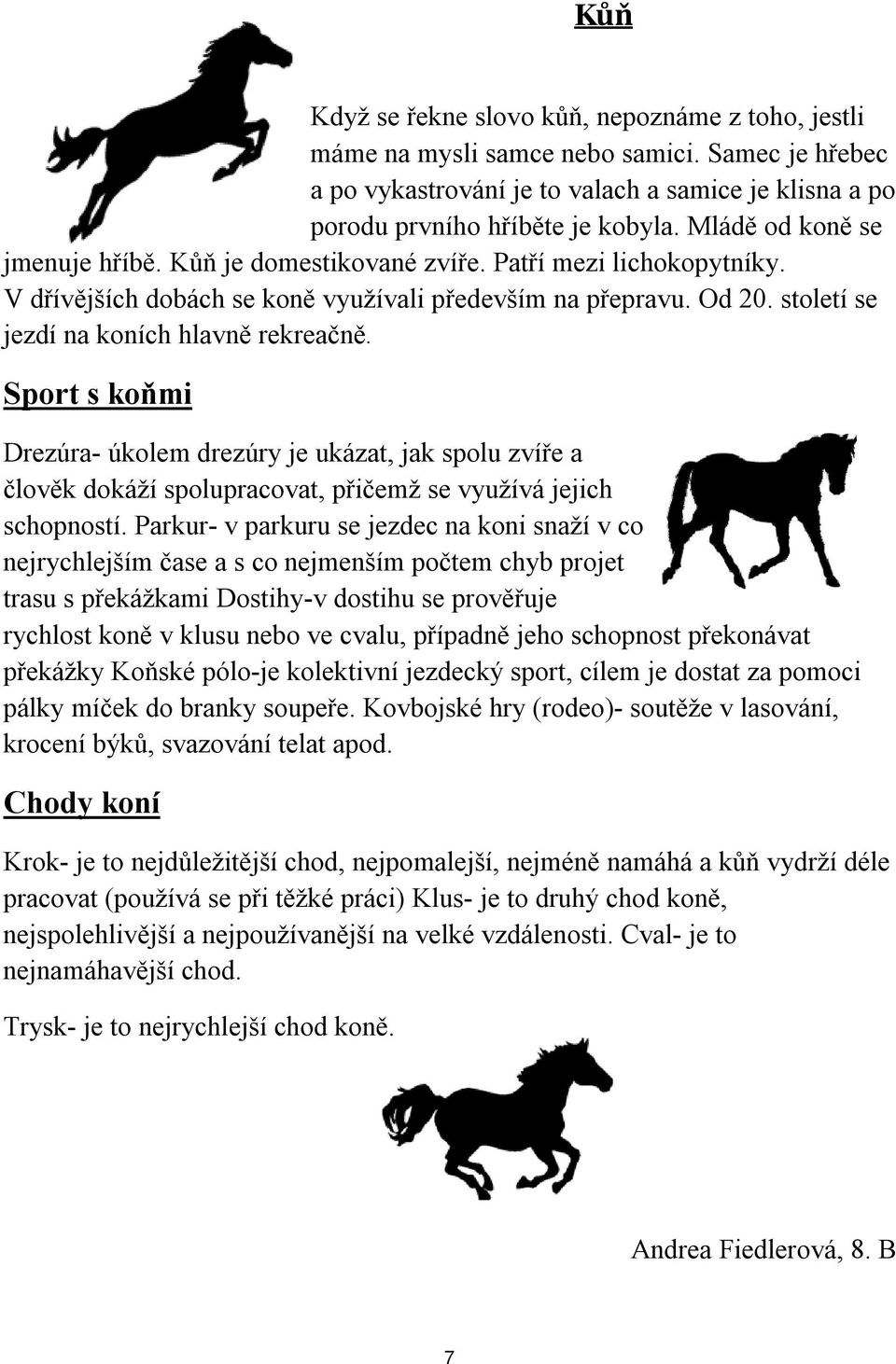 Sport s koňmi Drezúra- úkolem drezúry je ukázat, jak spolu zvíře a člověk dokáží spolupracovat, přičemž se využívá jejich schopností.