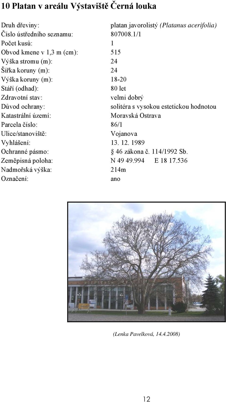 1/1 Obvod kmene v 1,3 m (cm): 515 Výška stromu (m): 24 Šířka koruny (m): 24 Výška koruny (m): 18-20