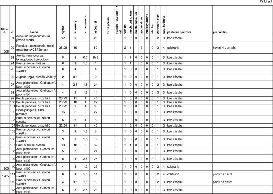 vlašský 2 0,5 2 1 0 0 0 0 0 1 3 bez zásahu 97 4 2,5 1,5 24 1 0 0 0 0 0 2 3 bez zásahu 98 4 2 1,5 14 1 0 0 0 0 0 2 3 bez zásahu 99 Betula pendula, bříza bílá 20-22 11 4 44 1 0 0 0 0 0 1 3 bez zásahu