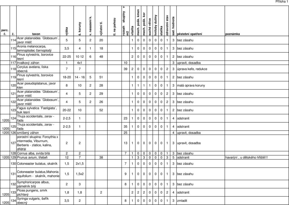 1 0 0 1 3 malá oprava koruny 121 4 5 2 29 1 0 0 0 0 0 2 3 bez zásahu 122 4 5 2 26 1 0 0 0 0 0 2 3 bez zásahu Fagus sylvatica Fastigiata, 123 buk 20-22 10 52 1 0 0 0 0 0 1 2 bez zásahu Thuja