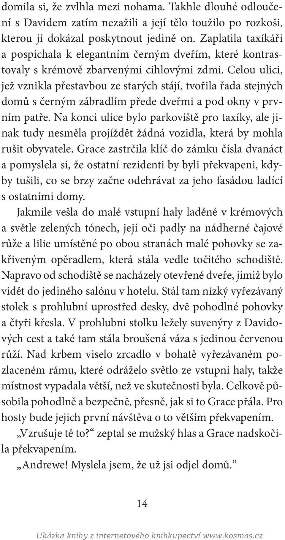 Celou ulici, jež vznikla přestavbou ze starých stájí, tvořila řada stejných domů s černým zábradlím přede dveřmi a pod okny v prvním patře.