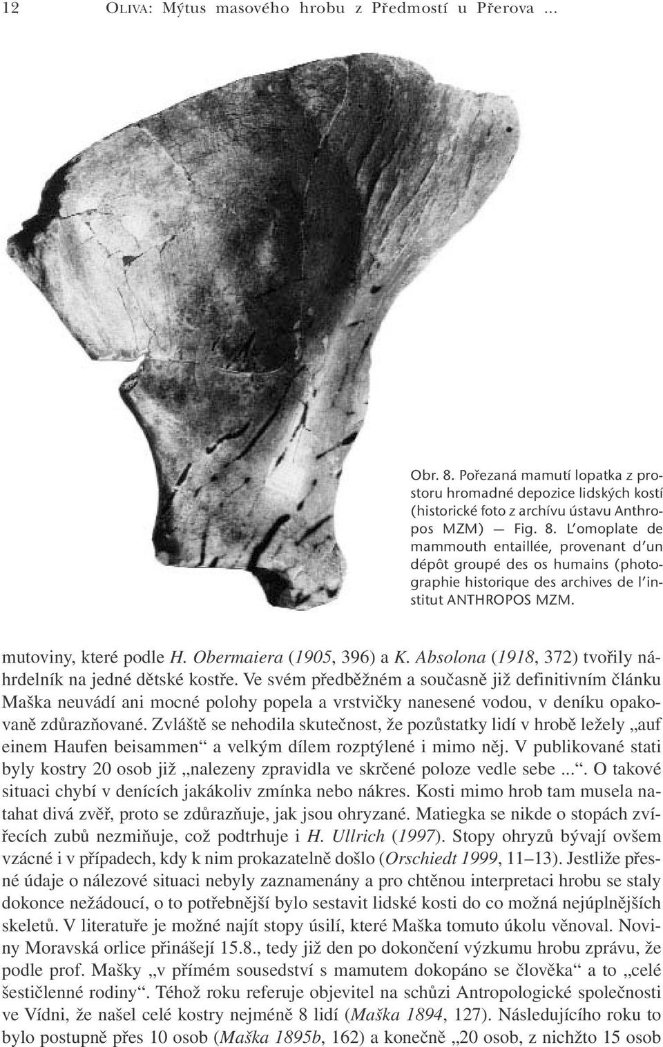 L omoplate de mammouth entaillée, provenant d un dépôt groupé des os humains (photographie historique des archives de l institut ANTHROPOS MZM. mutoviny, které podle H. Obermaiera (1905, 396) a K.