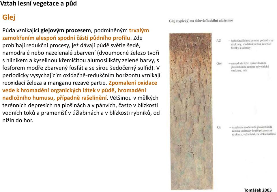 fosforem modře zbarvený fosfát a se sírou šedočerný sulfid). V periodicky vysychajícím oxidačně-redukčním horizontu vznikají reoxidací železa a manganu rezavé partie.