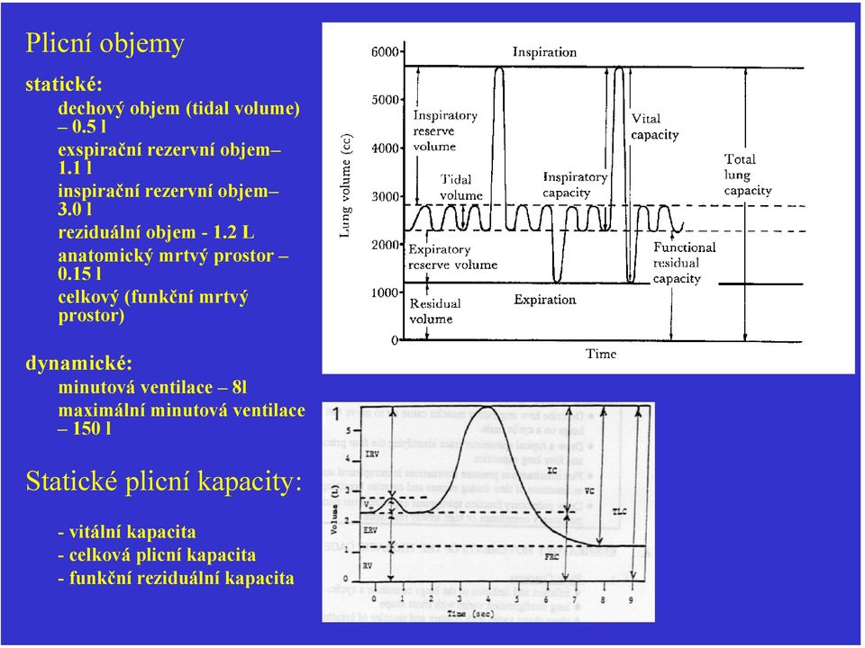 15 l celkový (funkční mrtvý prostor) dynamické: minutová ventilace 8l maximální minutová
