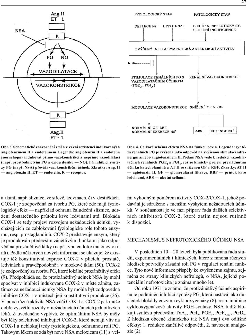 NSA) pøeváží vazokonstrikèní úèinek. Zkratky: Ang. II angiotenzin II, ET endotelin, R receptor. Obr. 4. Celkové schéma efektu NSA na funkci ledvin.