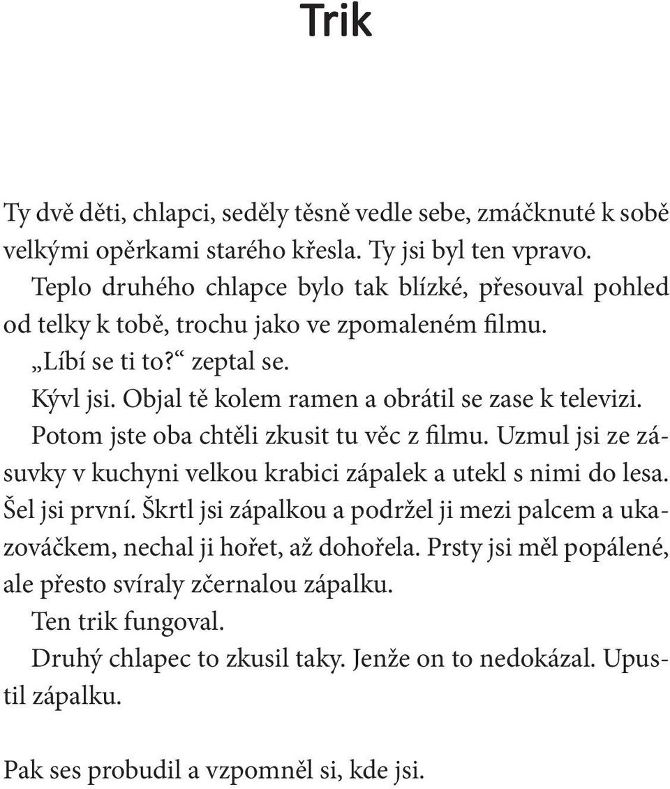 Objal tě kolem ramen a obrátil se zase k televizi. Potom jste oba chtěli zkusit tu věc z filmu. Uzmul jsi ze zásuvky v kuchyni velkou krabici zápalek a utekl s nimi do lesa.