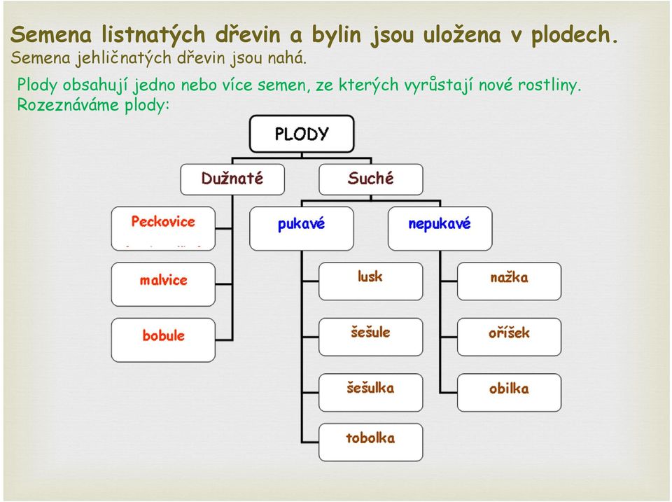 Semena jehličnatých dřevin jsou nahá.