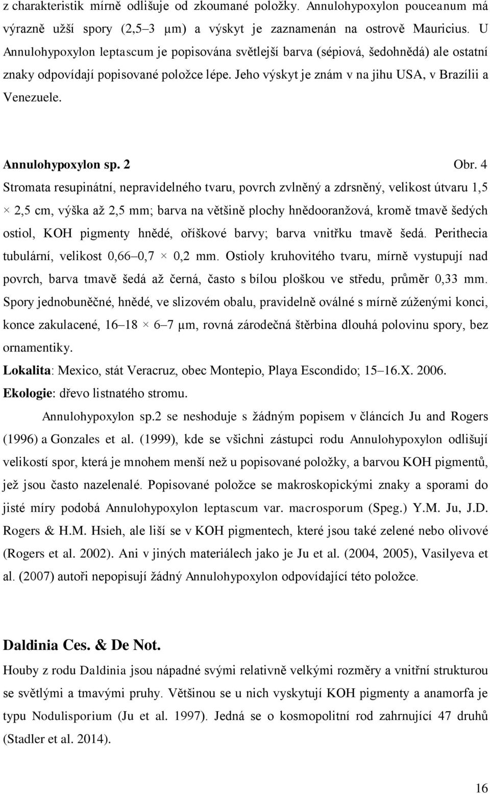 Annulohypoxylon sp. 2 Obr.