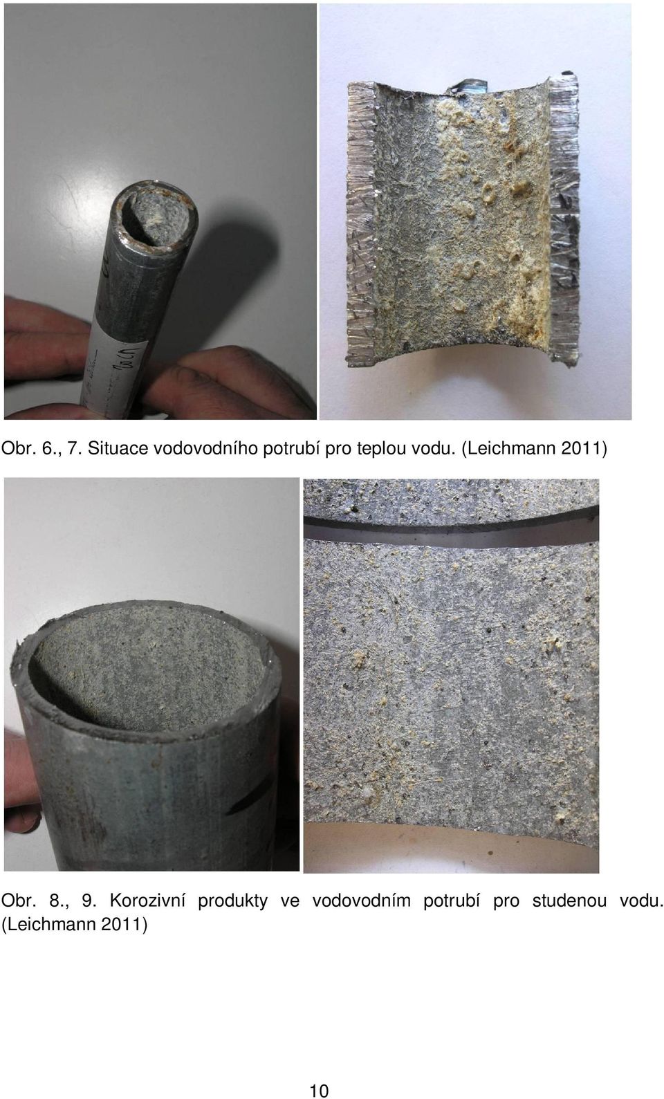 vodu. (Leichmann 2011) Obr. 8., 9.